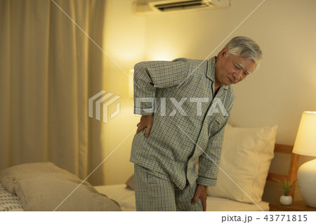 シニア男性 腰痛 43771815
