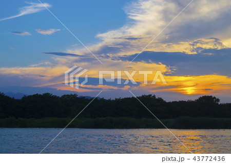 夕暮れの相模川 43772436