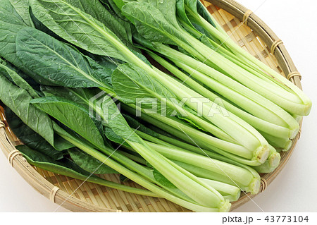 こまつな こまつな 43773104