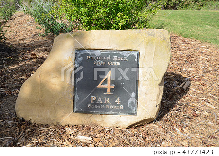 アメリカ　ロサンゼルス　ペリカンヒルゴルフリゾート 43773423