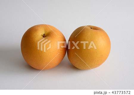 梨・新甘泉 43773572