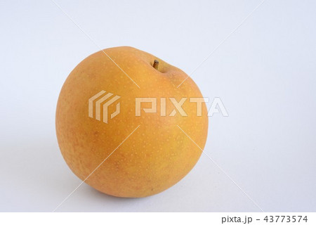 梨・新甘泉 梨・新甘泉 43773574