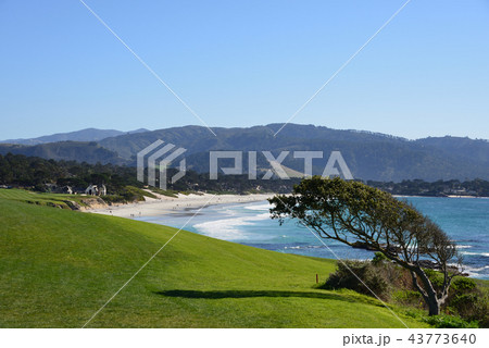 アメリカ カリフォルニア ペブルビーチゴルフコース アメリカ カリフォルニア ペブルビーチゴルフコース 43773640
