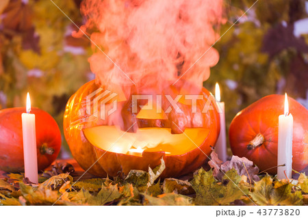 Halloween pumpkin lantern with dry leaves, candles and smoke Halloween pumpkin lantern with dry leaves, candles and smoke 43773820