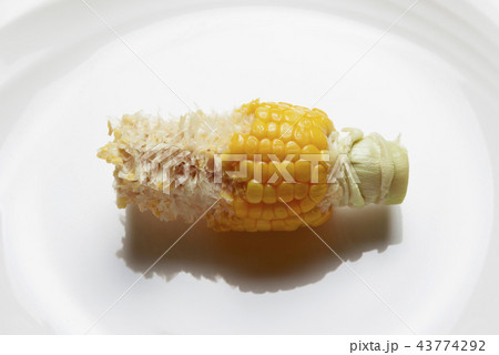 拒食症 拒食症 43774292