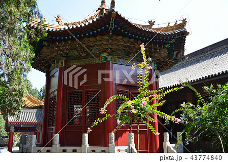 中国　西安　西安碑林博物館 43774840