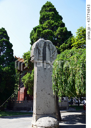 中国　西安　西安碑林博物館 43774843