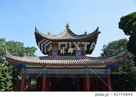 中国 西安 西安碑林博物館 中国 西安 西安碑林博物館 43774844