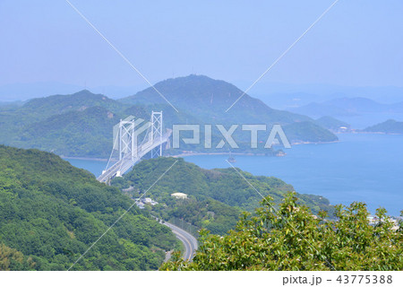 因島 白滝山から見た因島大橋(広島県尾道市) 43775388
