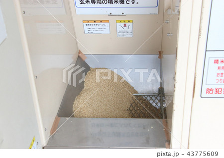 コイン精米 43775609