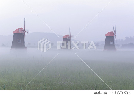 木 南洞 生態公園 43775852