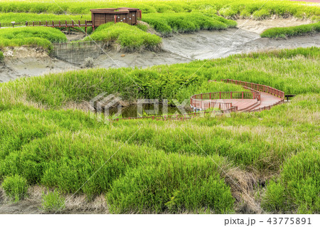 ゲトゴル 生態公園 建築 43775891