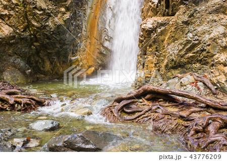 Autumn waterfall with rocks and leaves in Troodos mountains in Cyprus 43776209