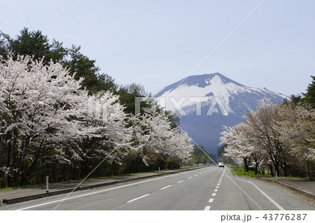 八幡平の早朝　八幡平　アスピーテライン　八幡平別荘地  43776287
