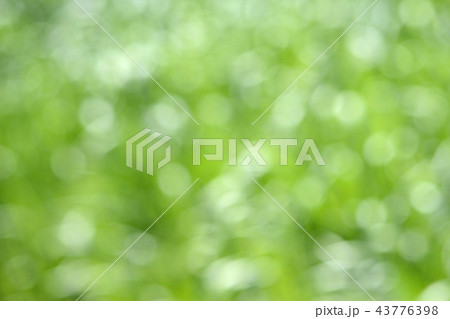 Green１ 43776398