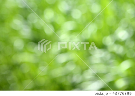 Green2 43776399
