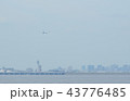 東京湾（羽田方面） 43776485