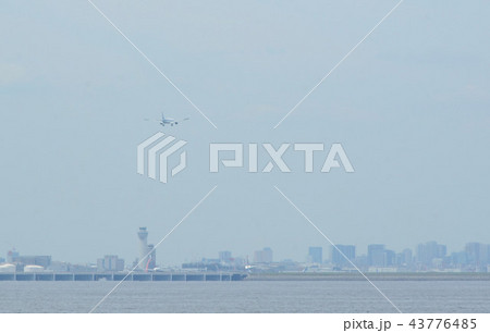 東京湾（羽田方面） 43776485