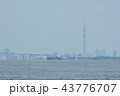 東京湾（スカイツリー方面） 43776707