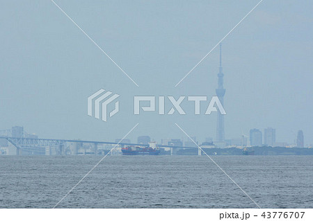 東京湾（スカイツリー方面） 43776707