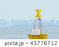 イソヒヨ 43776712