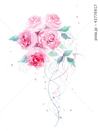 バラ 水彩画 Rose Watercolor のイラスト素材