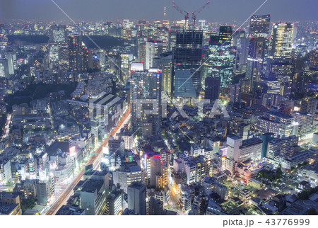 六本木の夜景 43776999