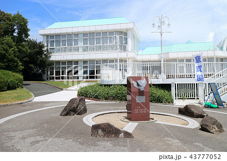 浜名湖SA 43777052