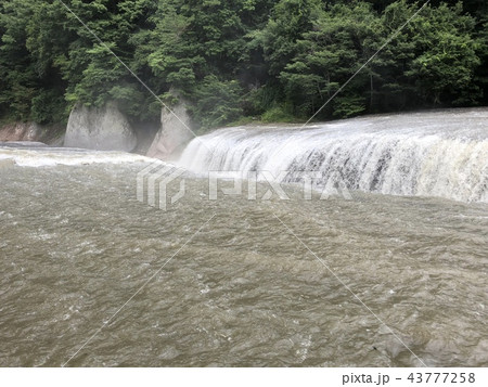 東洋のナイアガラの滝 43777258