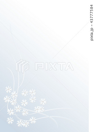 欠礼状　小菊 43777584