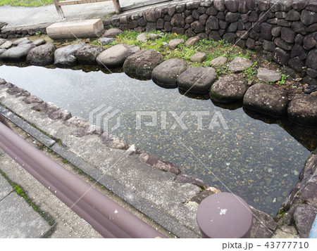 六郷湧水群座頭清水 六郷湧水群座頭清水 43777710