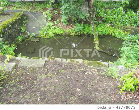 六郷湧水群山田家清水 六郷湧水群山田家清水 43778075