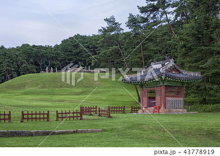 古建築 銅東九陵 朝鮮王陵 43778919