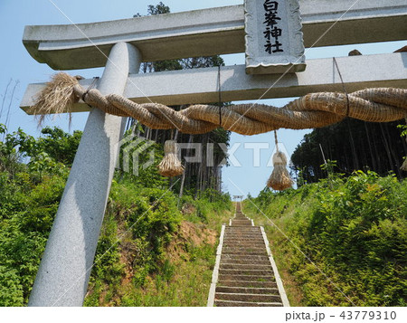 岡垣町　海老津　金毘羅山 43779310