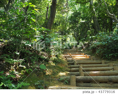 岡垣町 海老津 金毘羅山 岡垣町 海老津 金毘羅山 43779316