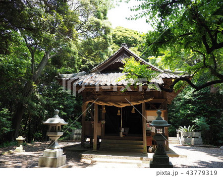 岡垣町 海老津 金毘羅山 岡垣町 海老津 金毘羅山 43779319