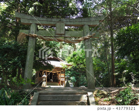 岡垣町　海老津　金毘羅山 43779321