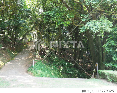 岡垣町 海老津 金毘羅山 岡垣町 海老津 金毘羅山 43779325