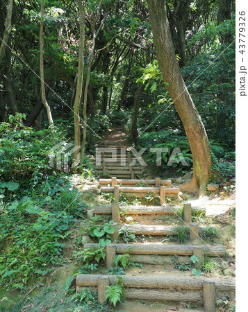 岡垣町　海老津　金毘羅山 43779326