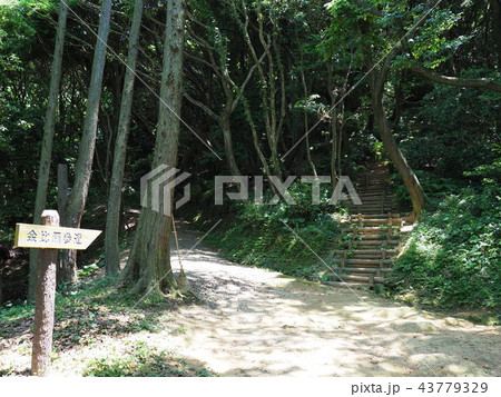 岡垣町　海老津　金毘羅山 43779329