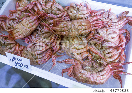 食味に大変優れ身に甘みがありカニミソの量が多い毛ガニ北海道を代表する食材ケガニ 43779388