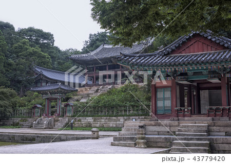 建築 古建築 宮殿 43779420