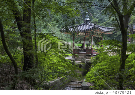 古建築 文化財 昌徳宮 43779421