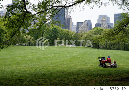 ニューヨーク セントラルパーク ニューヨーク セントラルパーク 43780159