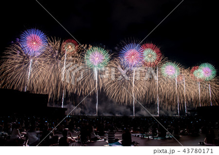 新潟県　長岡まつり大花火大会　フェニックス 43780171