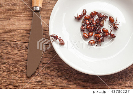 subterranean ants roast is clean food  43780227