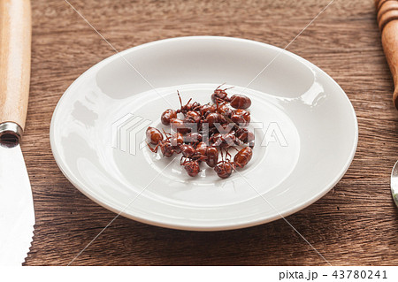 subterranean ants roast is clean food  43780241