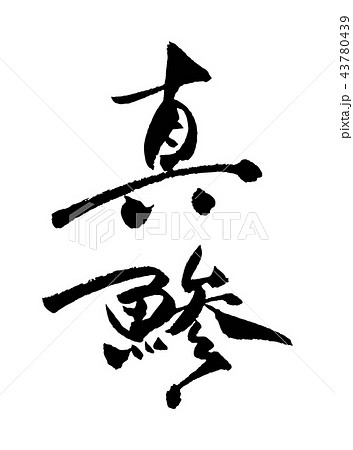 真鯵 真鯵 43780439