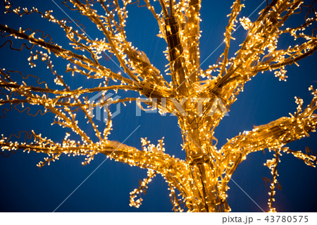 Gold lights Christmas Tree 43780575