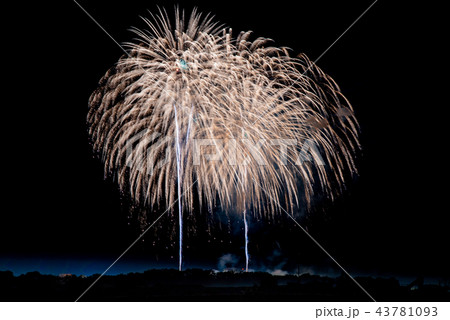 新潟県　長岡まつり大花火大会 43781093